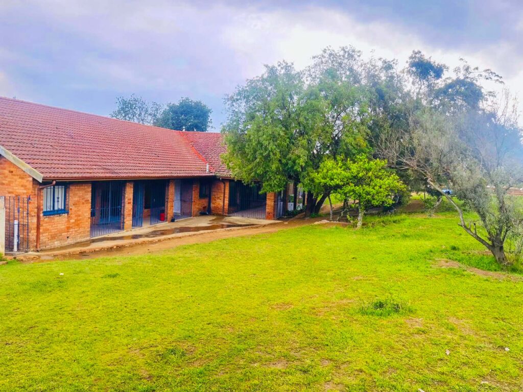 freepik__enhance__37868