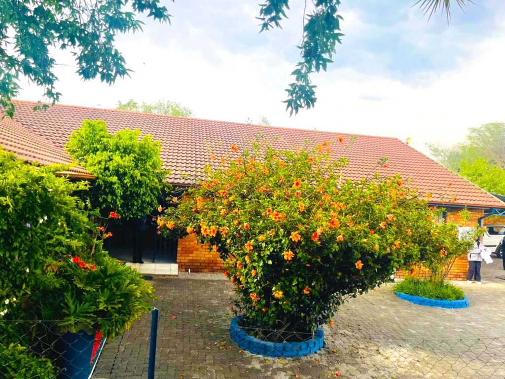 freepik__upload__86166-1024x768